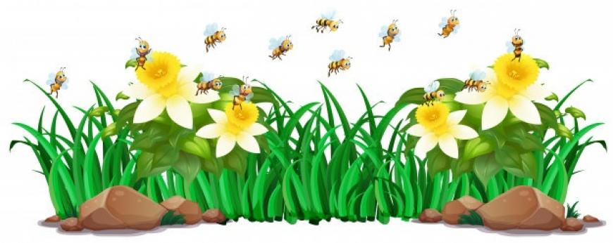 svetski dan pčela 20 maj